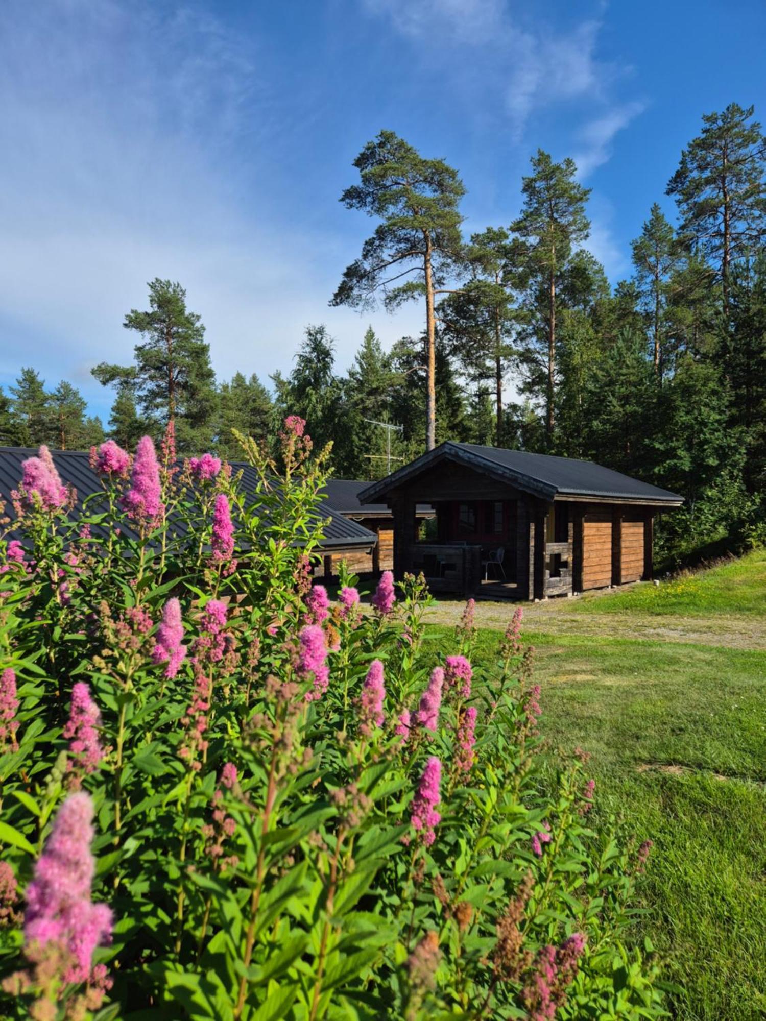 Lufta Camping & Restaurang Ånäset Dış mekan fotoğraf